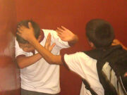 Bullying Irfe
