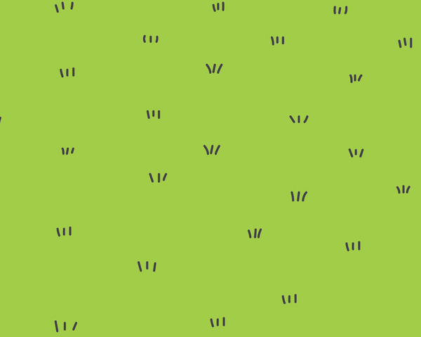 Archivo:Fondoo.png
