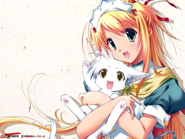 Archivo:Anime-sites-1024x768.jpg