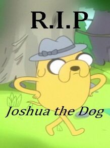 Josua