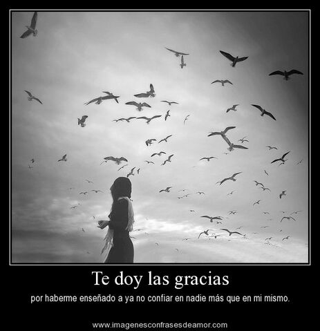 Archivo:Imagenes-con-frases-de-decepcion.jpg