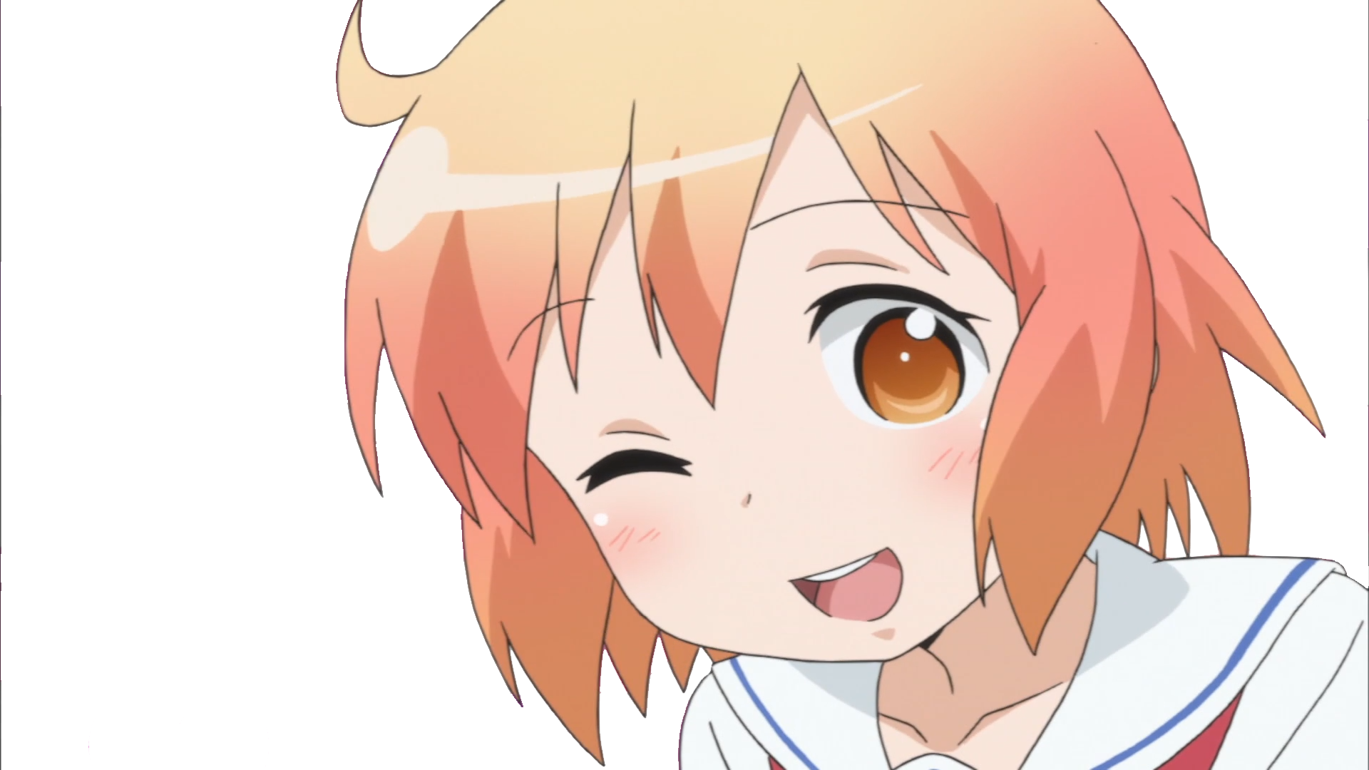 Imagen Kotourasan.png Hora de aventura Wiki FANDOM