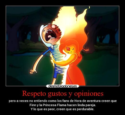 Archivo:Respeto-gustos-y-opiniones-carteles-criticas-y-opiniones-de-por-que-estoy-en-contra-de-finn-x-la-princesa-flama-espero-no-incomodar-desmotivaciones.jpg