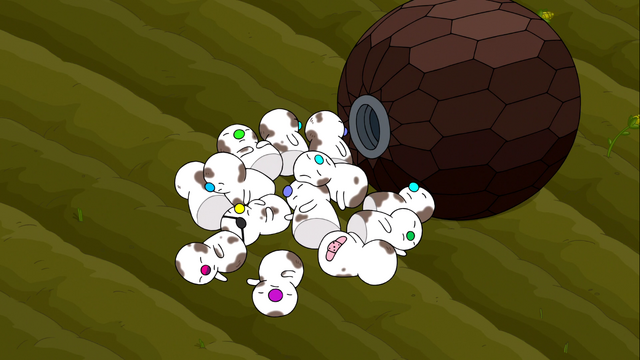Archivo:TVR62.png
