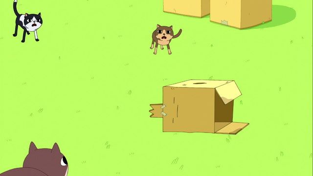 Archivo:AT-IAAS.107.png