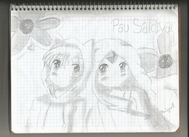 Archivo:Flaminnbypausugar.jpg