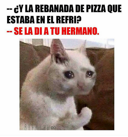 Archivo:Tumblr nvq5quYqzg1si8u3ro1 1280.png