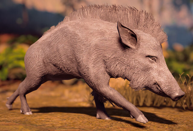 File:Horizonboar.jpg