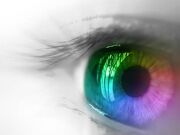 Vision1