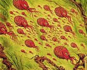 Spores