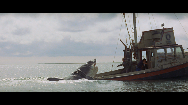 File:Shark boat.png