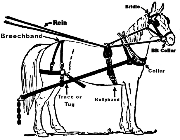 File:Illustration harness.png
