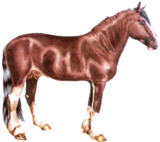 File:Vladimir.png