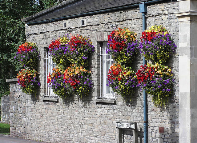 File:Hanging baskets in thornbury arp.jpg