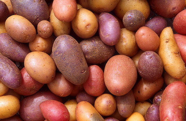 File:800px-Patates.jpg