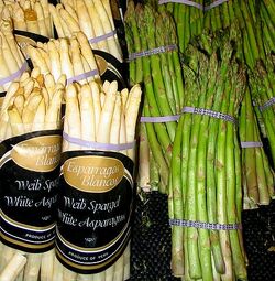 Asparagus produce-1