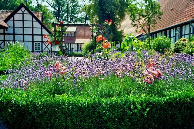 File:Schultenhof Mettingen Bauerngarten 8.jpg