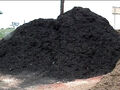 Thumbnail for version as of 02:57, January 24, 2012