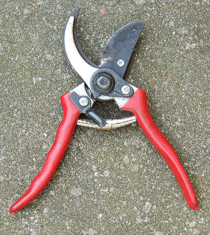File:536px-Secateur ouvert.jpg