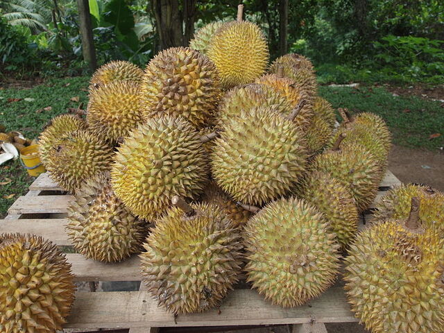 File:800px-Durian.jpg