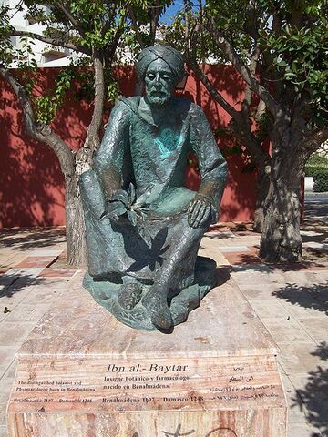 File:450px-Ibn al-Baytar.jpg