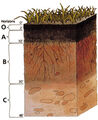 Thumbnail for version as of 00:05, January 15, 2012