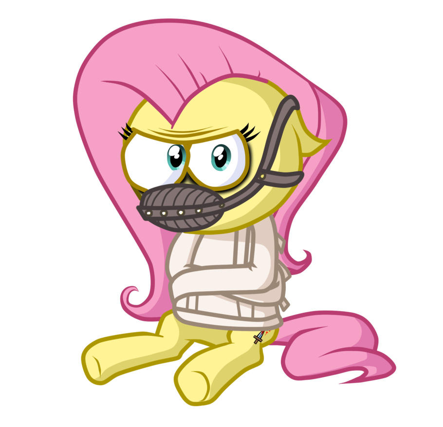 shed.mov fluttershy has a sparta dynasty remix - youtube