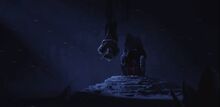 12063357 910473255699980 5539575617032307979 n