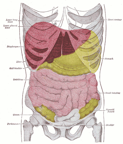 File:Gray1224.png
