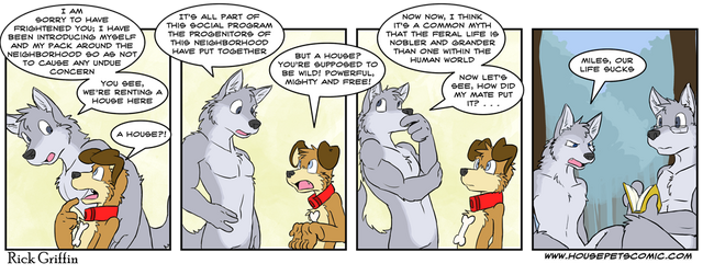 File:The Visitor.png