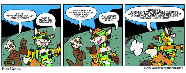 File:Radio Control Fox.png