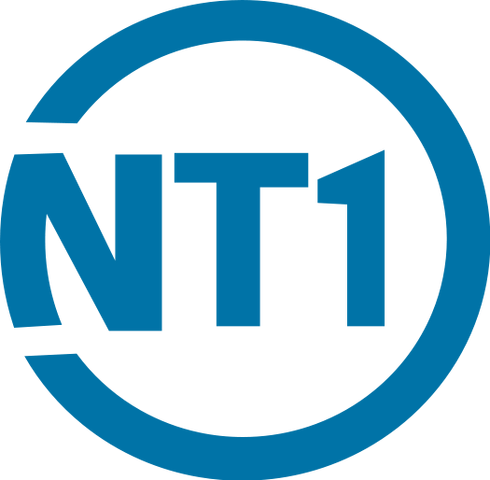Datei:20100306195020!NT1 logo.png