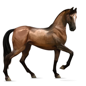 File:Bay Akhal-Teke.png