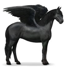 Frisien Pegasus