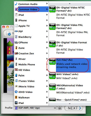 File:Set-swf-to-flv-output.jpg