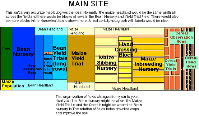 File:MAINSITE.gif