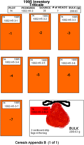 File:TRITENV.gif