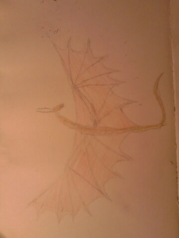 File:Timberjack drawing.jpg