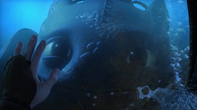File:Toothless(103).jpg