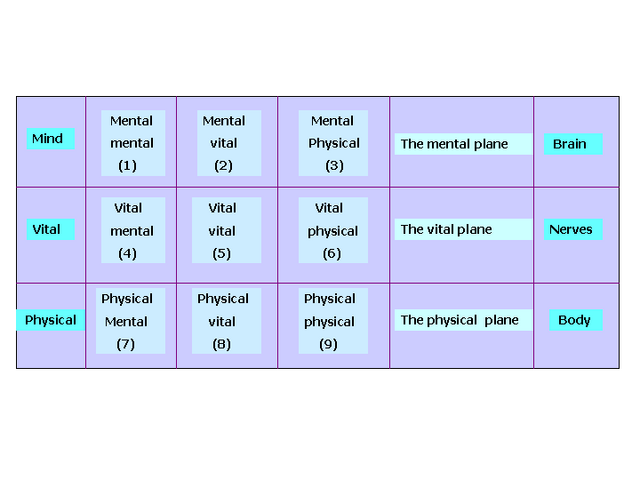 File:Levels1.png