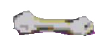 Bone