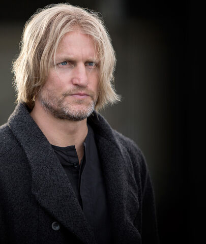 File:Haymitch.jpg
