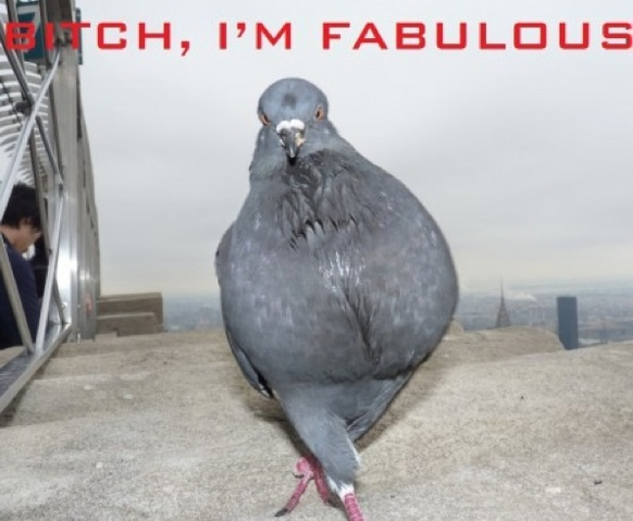 File:KEVIN.png