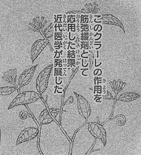 Curare plant