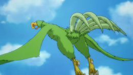 Lukso Province bird