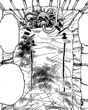 Gon's condition.png
