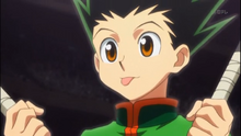 Gon1.png