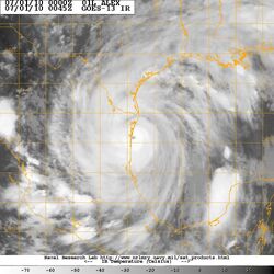 Hurricane Alex