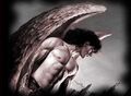 Thumbnail for version as of 06:56, November 1, 2012