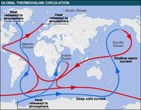 File:Global thermohaline.jpg